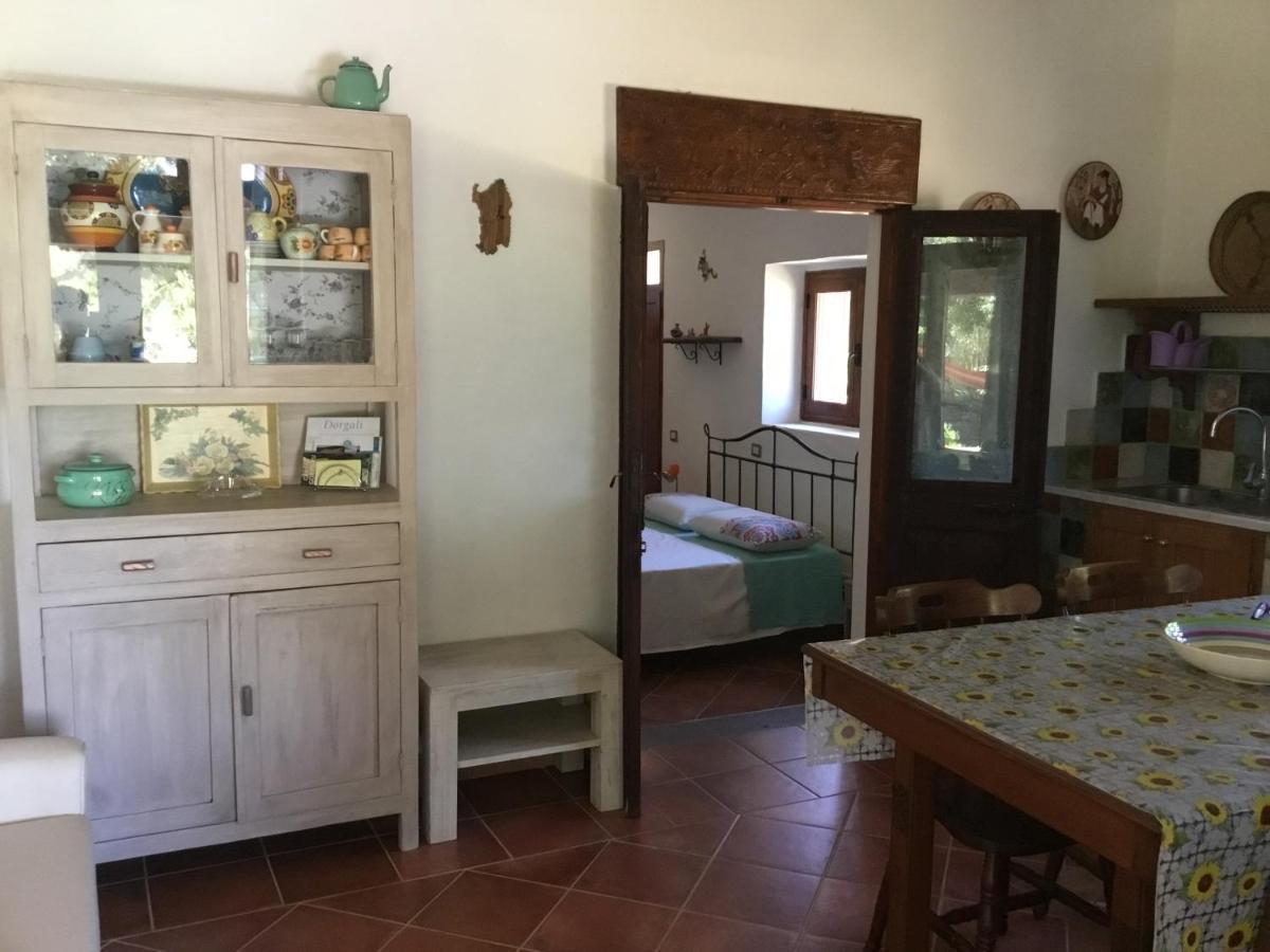 Su Saucu Villa Dorgali Buitenkant foto