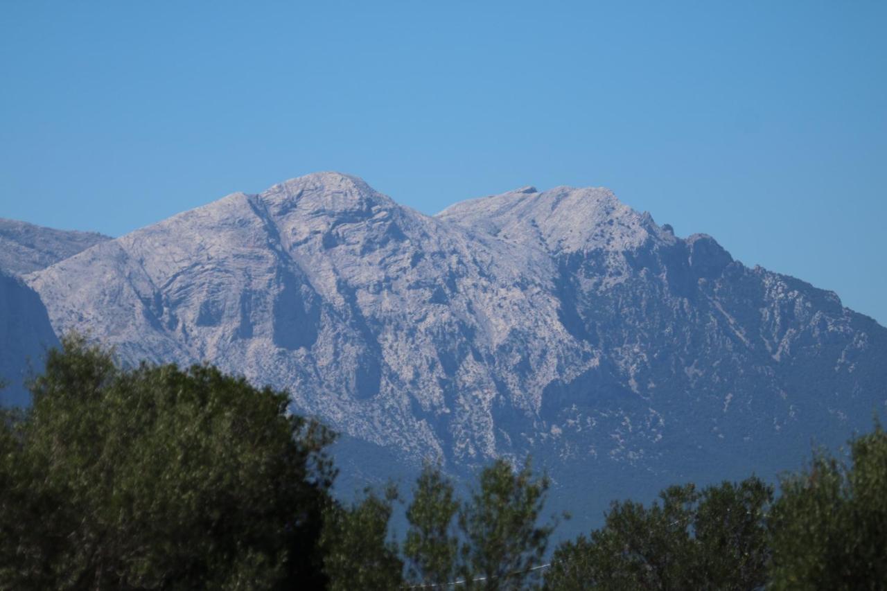 Su Saucu Villa Dorgali Buitenkant foto